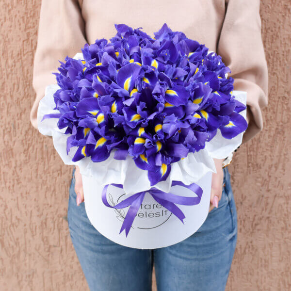 Mėlynų irisų dėžutė gimtadienio gėlės