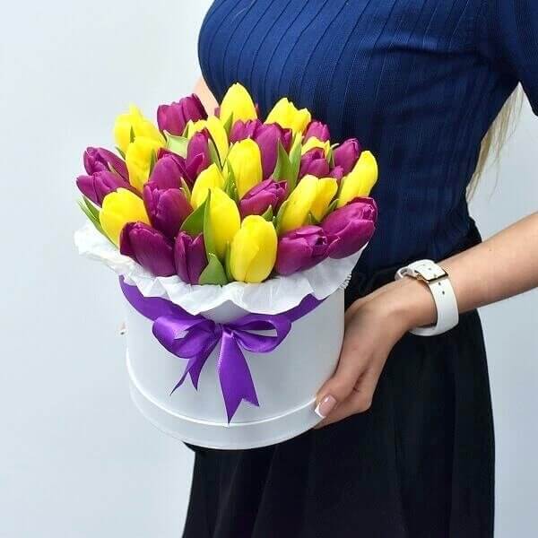 Violetinės ir geltonos tulpės gėlių dėžutėje