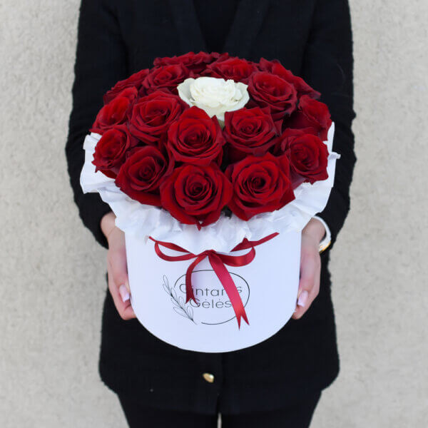 Raudonų ir baltos rožės dėžutė gėlės merginai