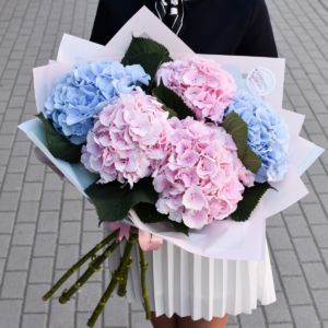Hortenzijos puokštėje dviejų spalvų gimtadienio gėlės