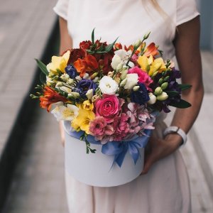 Flower box of different colors