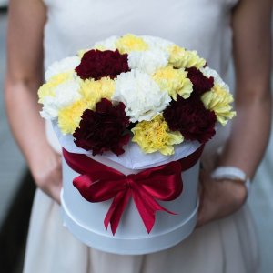 A variety of colored carnation box