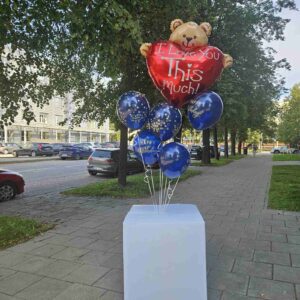 Meškutis su širdele dėžėje gimtadienio proga