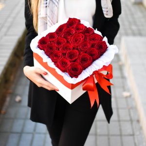 Red rose flowers in square boxes