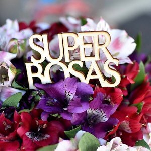 "Super Bosas" lazdelė į gėlių dėžutės