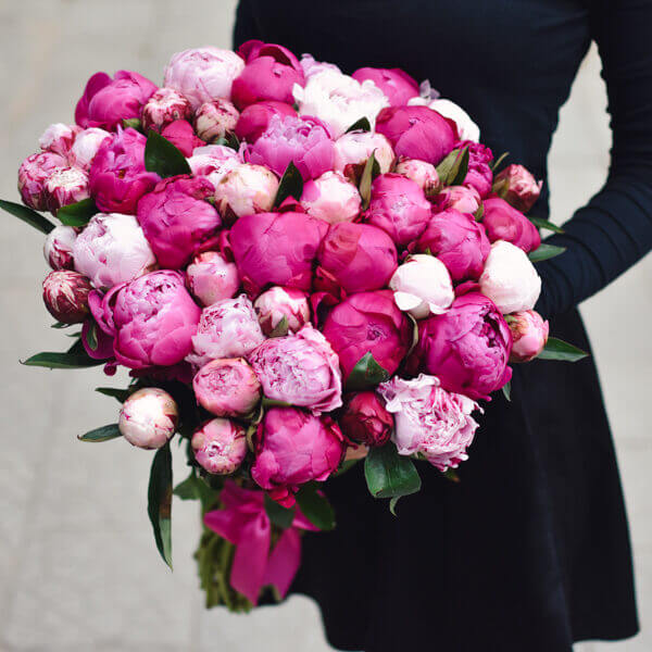 Two color peonies in a bouquet