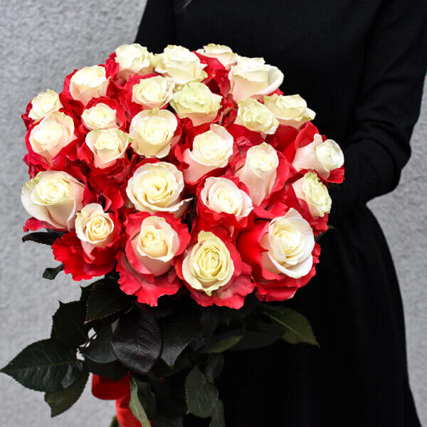 Baltų rožių su raudonais žiedlapių kraštais puokštė