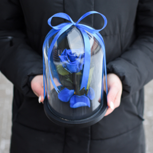Mėlynos spalvos mieganti rožė maža po stiklu dovana moteriai
