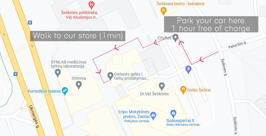 gintaresgeles.lt address