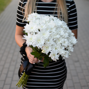 Baltų chrizantemų puokštė gėlės gedului
