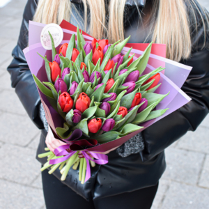 Violetinių ir raudonų tulpių puokštė moters dienos gėlės