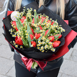 Raudonų tulpių ir ramunėlių puokštė gėlės kovo 8