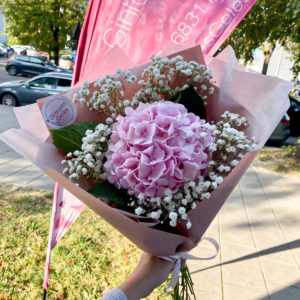 Rožinės hortenzijos ir baltų gubojų puokštė gimtadienio gėlės