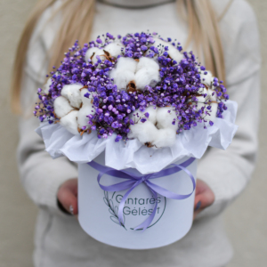 Medvilnės ir violetinių gubojų dėžutė gimtadienio gėlės